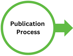 Publication process